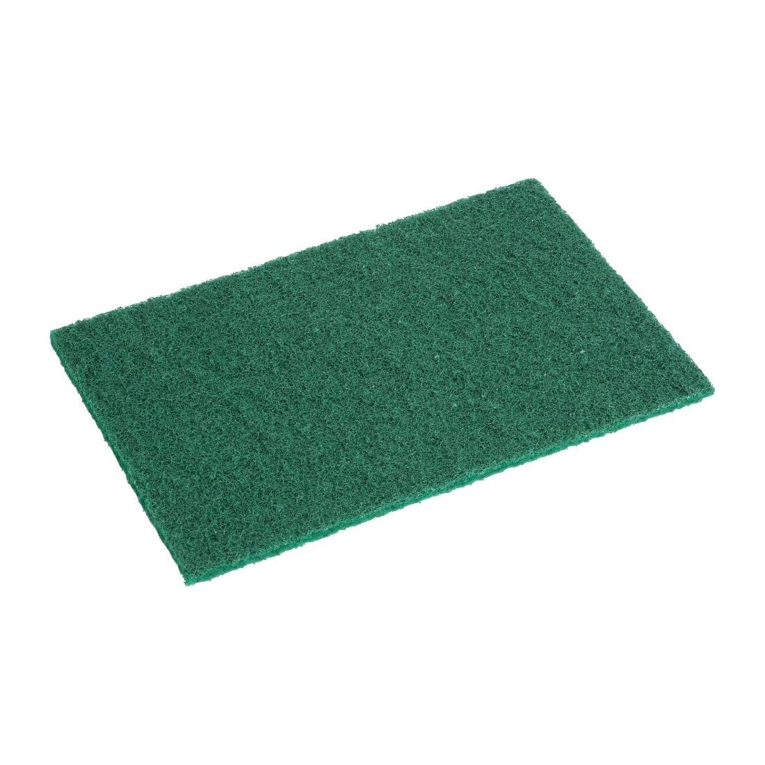 Jantex Scouring Pad Small - Green (Pack 10) HX234 - Whisk Hospitality - HX234
