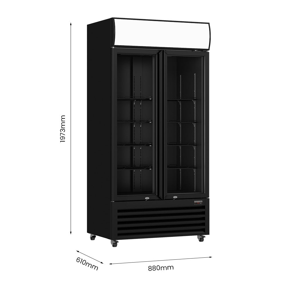 Thermaster Double Glass Door Colourbond Upright Drink Fridge - LG - 580BP - Whisk Hospitality - LG-580BP