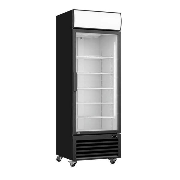 Thermaster Single Glass Door Black Colourbond Upright Drink Fridge LG-540BP - Whisk Hospitality - LG-540BP