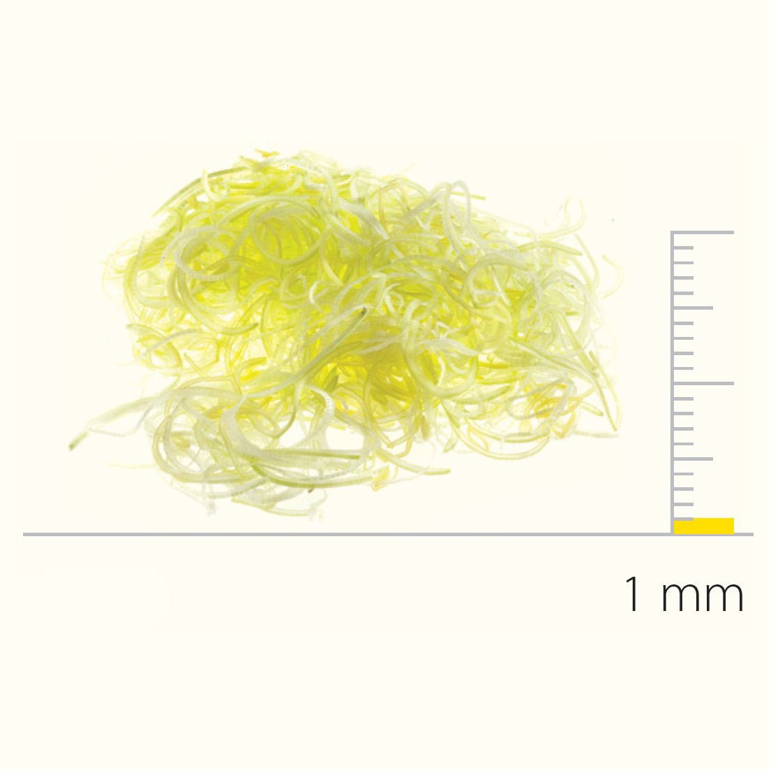 Stainless Steel Slicing Disc With S - Blades 1 mm - DS650082 - Whisk Hospitality - DS650082