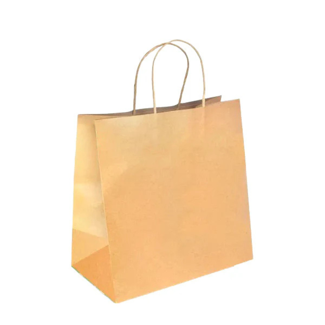 PakMax Large Twist Handle Kraft Paper Bags RPRR-120-L - Whisk Hospitality - RPRR-120-L