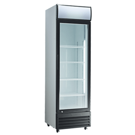 Exquisite One Door Upright Display Fridge - DC400P - Whisk Hospitality - DC400P