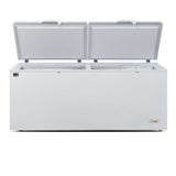 AG Commercial Chest Freezer - 670 Litre BD700S