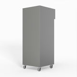 650 Litre Upright Stainless Steel Door Freezer