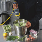 Hamilton Beach Stick Blender IMH0228