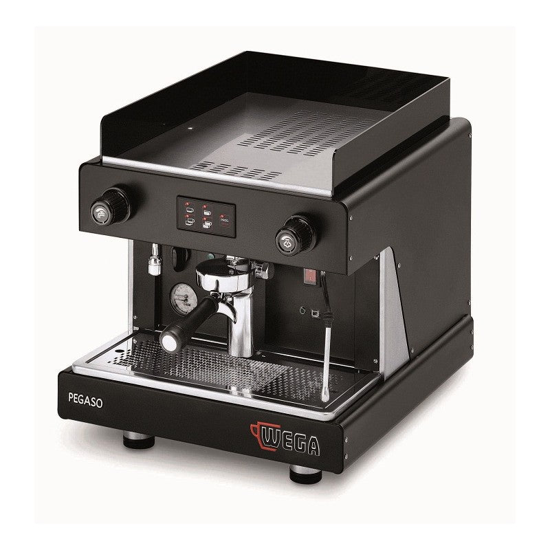 Wega-Pegaso-1 Group