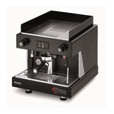 Wega-Pegaso-1 Group