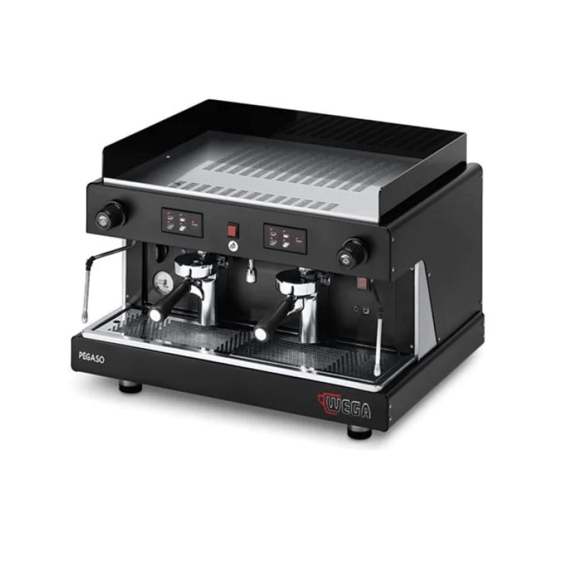Wega-Pegaso-2Group
