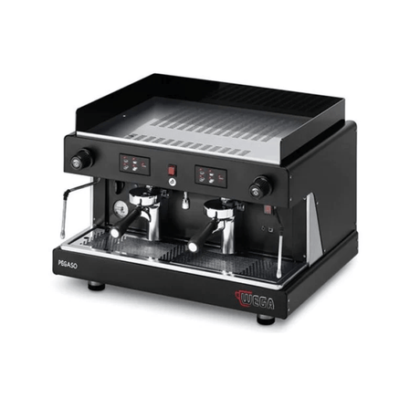 Wega-Pegaso-2Group