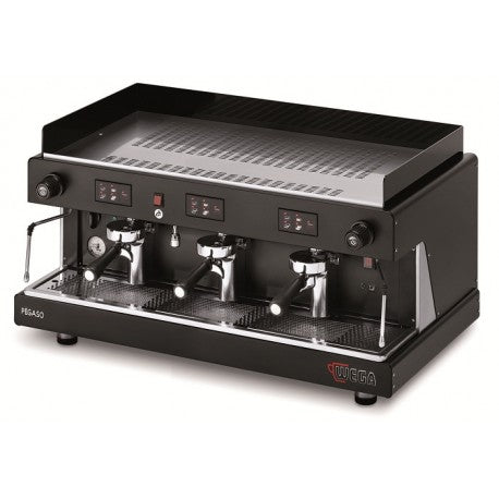 Wega-Pegaso-3 Group