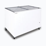 Chest Freezer for Sale