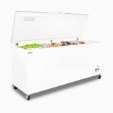 Storage Chest Freezer - 675L - Stainless Steel Top