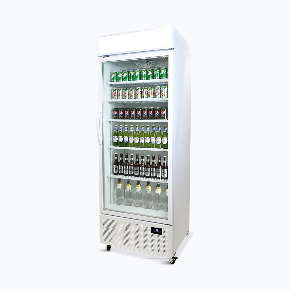 Upright Display Fridge - 659L - 1 Door - Flat Glass - Lighbox