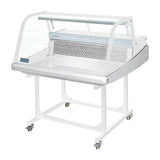 Polar Counter Top Serve Over Fish Display Unit White - 915mm GE960-A