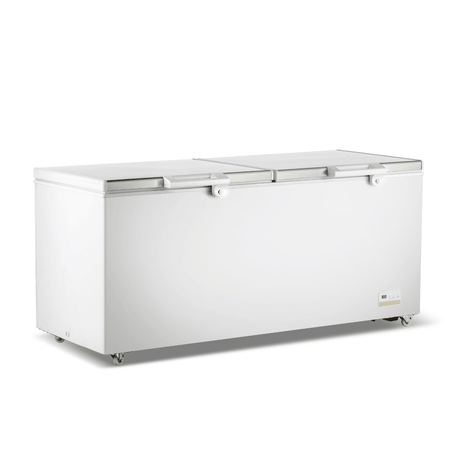 Thermaster 750L Chest Freezer with Stainless Steel Lid - BD750F - Whisk Hospitality - BD750F