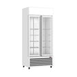 Thermaster Double Glass Door Colourbond Upright Drink Fridge - LG - 580P - Whisk Hospitality - LG-580P
