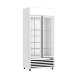 Thermaster Double Glass Door Colourbond Upright Drink Fridge - LG - 580P - Whisk Hospitality - LG-580P