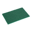 Jantex Scouring Pad Small - Green (Pack 10) HX234 - Whisk Hospitality - HX234