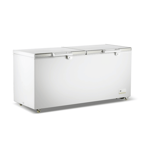 Thermaster 600L Chest Freezer with Stainless Steel Lid - BD600F - Whisk Hospitality - BD600F