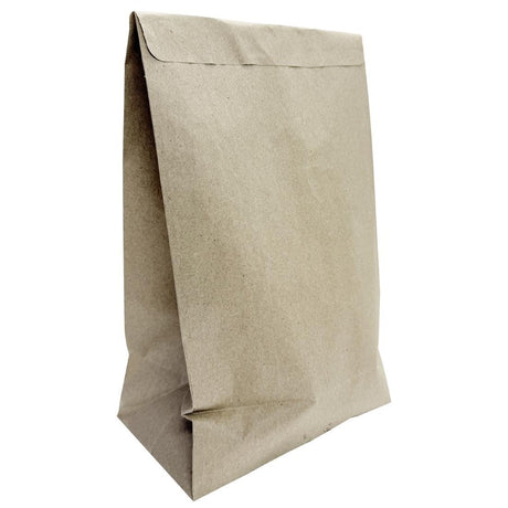 Fiesta Recyclable Sealable Take Away Bag - Large (Pack 250) JA319 - Whisk Hospitality - JA319