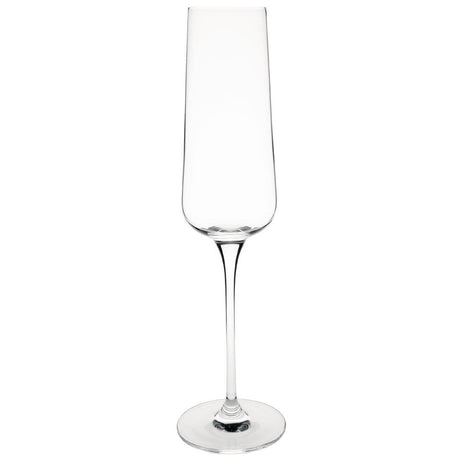 Olympia Crystal Claro Champagne Flute - 270 ml (Box 6) CS467 - Whisk Hospitality - CS467