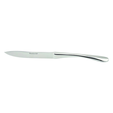 KT807 - 1 Table Dinner Knife - Whisk Hospitality - KT807-1