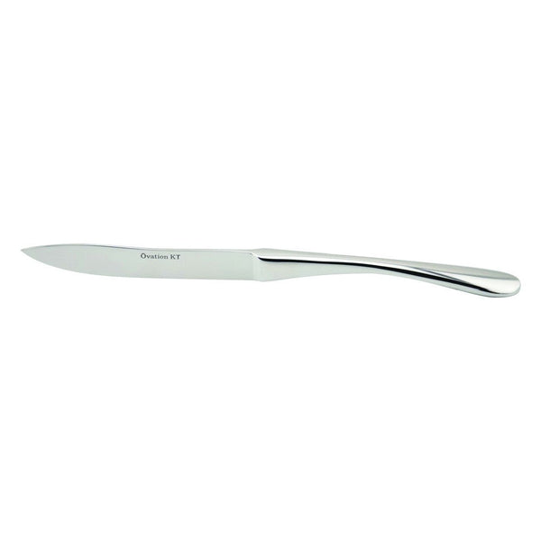KT807 - 1 Table Dinner Knife - Whisk Hospitality - KT807-1