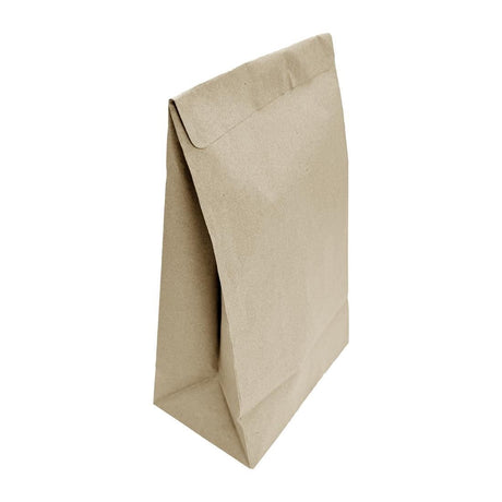 Fiesta Recyclable Sealable Take Away Bag - Medium (Pack 250) JA318 - Whisk Hospitality - JA318