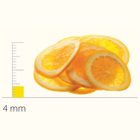 Stainless Steel Slicing Disc With S - Blades 4 mm - DS650085 - Whisk Hospitality - DS650085