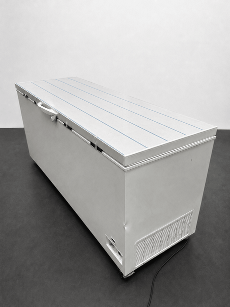 Bromic CF0700FTSS Chest Freezer - Whisk Hospitality - 891909
