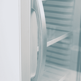 Bromic Upright Display Fridge - 215L - 1 Door - Flat Glass - Whisk Hospitality - GM0220-NR