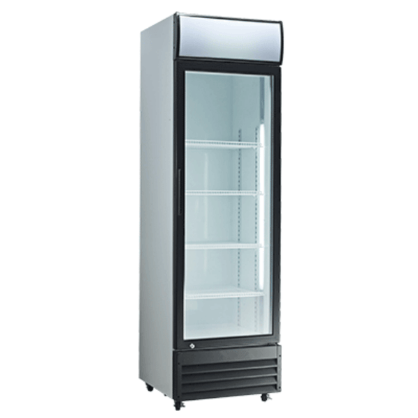Exquisite One Door Upright Display Fridge - DC400P - Whisk Hospitality - DC400P