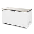 AG Stainless Lid Chest Freezer - 450 Litres BD550S - Whisk Hospitality - BD550S
