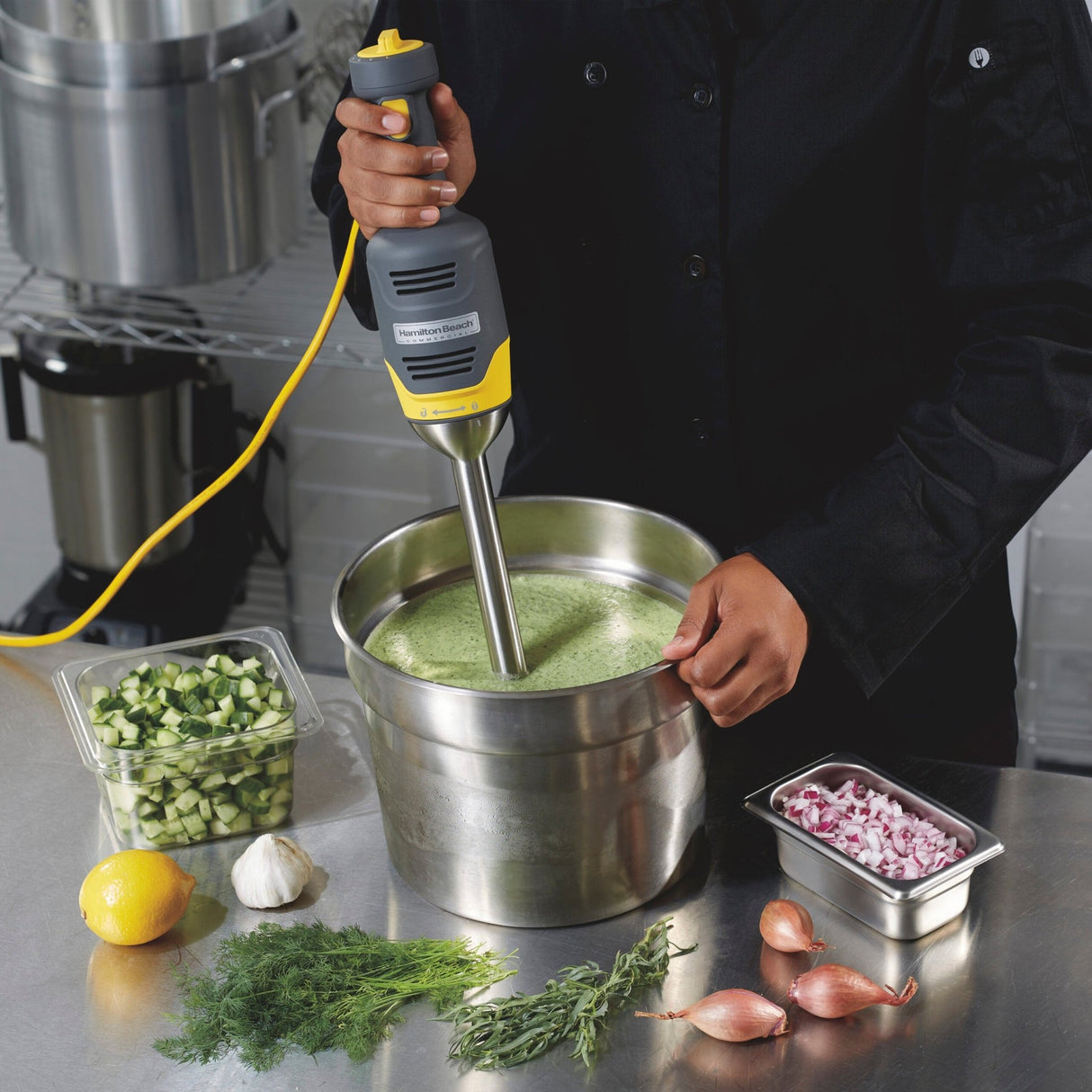 Hamilton Beach Stick Blender IMH0228 - Whisk Hospitality - IMH0228