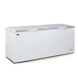 AG Commercial Chest Freezer - 670 Litre BD700S - Whisk Hospitality - BD700S