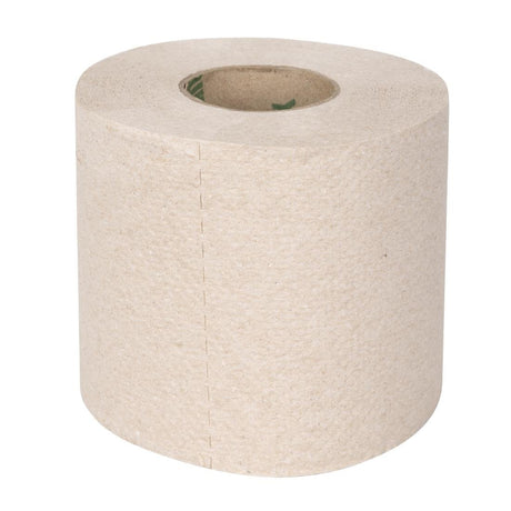 Jantex Green 100% Recycled Toilet Roll 2ply - 320 sheets (Pack 36) HX932 - Whisk Hospitality - HX932