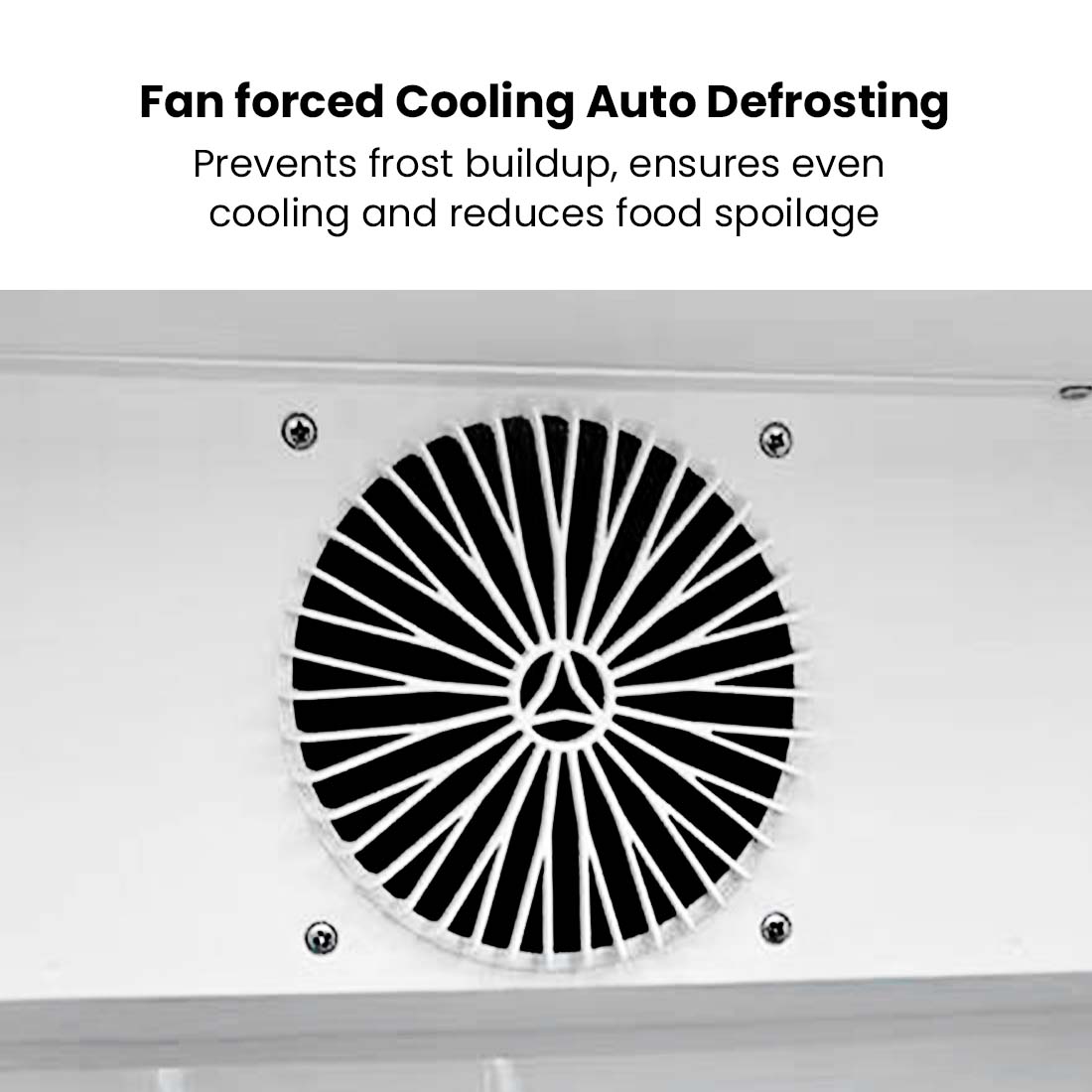 Thermaster Upright Glass Door Beverage Fridge - SDC - 178B - Whisk Hospitality - SDC-178B