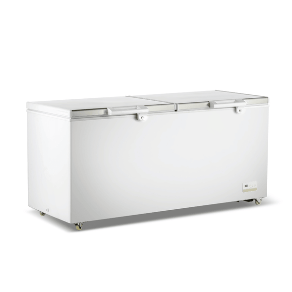Thermaster 600L Chest Freezer with Stainless Steel Lid - BD600F - Whisk Hospitality - BD600F