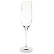 Olympia Crystal Campana Champagne Flute - 260ml 9oz (Box 6) CS496 - Whisk Hospitality - CS496