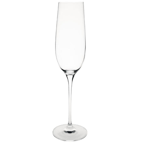 Olympia Crystal Campana Champagne Flute - 260ml 9oz (Box 6) CS496 - Whisk Hospitality - CS496