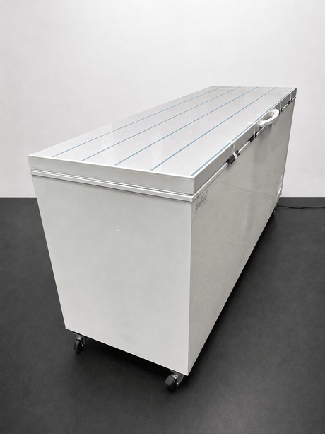 Bromic CF0700FTSS Chest Freezer - Whisk Hospitality - 891909
