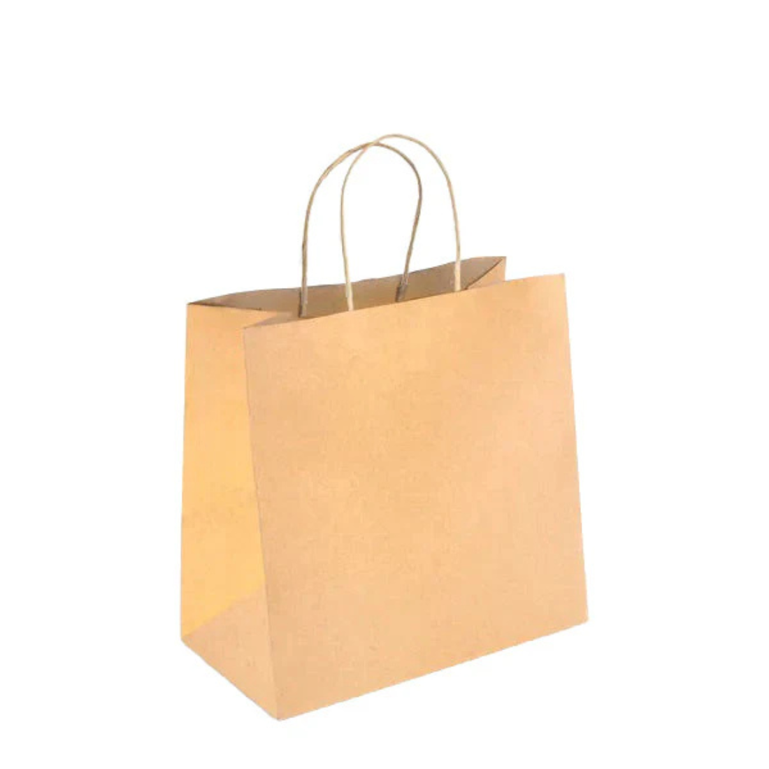 PakMax Small Twist Handle Kraft Paper Bags RPFR-120-S - Whisk Hospitality - RPFR-120-S